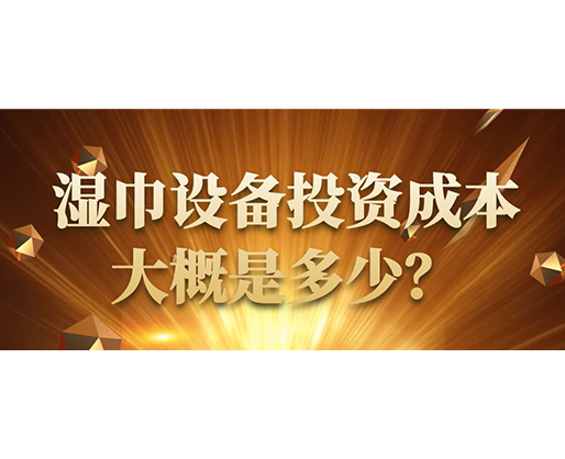 濕巾設備投資成本大概是多少？